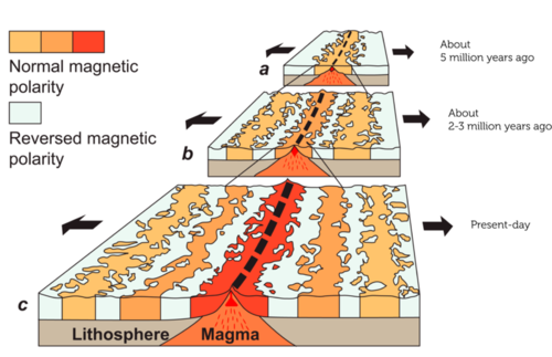 Magnetic Field Reversal